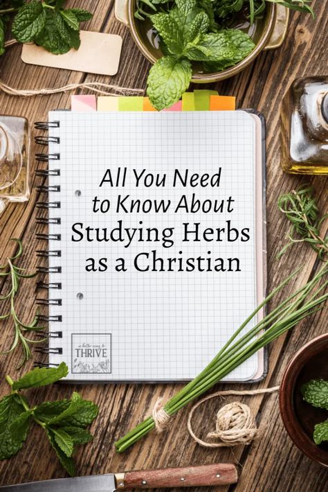 All You Need to Know About Studying Herbs as a Christian | A Better Way to Thrive Christian Herbalist, Learning Herbalism, Survival Journal, Apothecary Vibes, Best Ways To Study, Medical Garden, Christian Witch, Ways To Study, Sinus Infection Remedies