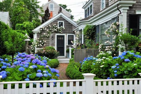 Tour Charming Front Yard Gardens in Nantucket, Massachusetts | HGTV Nantucket Style Homes, Nantucket Cottage, Nantucket Home, Nantucket Style, Cape Cod Style, Cottage Exterior, White Picket Fence, Beach Cottage Style, Charming Garden