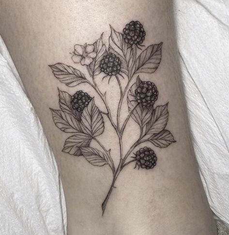 Delicious realistic blackberry tattoo on ankle done by @ipektattoo at @fleurnoiretattoo #fleurnoiretattoo #simpletattoo #ankletattoo #delicatetattoo #inspiration #inspirationtattoo  #nyctattoo #nyctattooartist #brooklyntattoo #brooklyntattooartist #newyorktattooartist #newyorktattoo #botanicaltattoo #botanicaltattoos #botanicalillustration #blackworktattoo #blackworktattoos  #finelinetattoo #finelinetattoos  #floraltattoos #williamsburg #blackberries #fruittattoo #blackberryttoo #berrytattoo Blackberry Flower Tattoo, Blackberry Flower, Blackberry Tattoo, Snail Tattoo, Left Arm Tattoos, Beetle Tattoo, Fruit Tattoo, Sick Tattoo, Illustration Tattoo