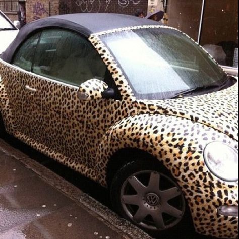 animal print car Girly Car, Vw Bug, Vw Beetle, Novelty Items, My Dream Car, Future Car, Vw Beetles, Cute Cars, Vw Bus