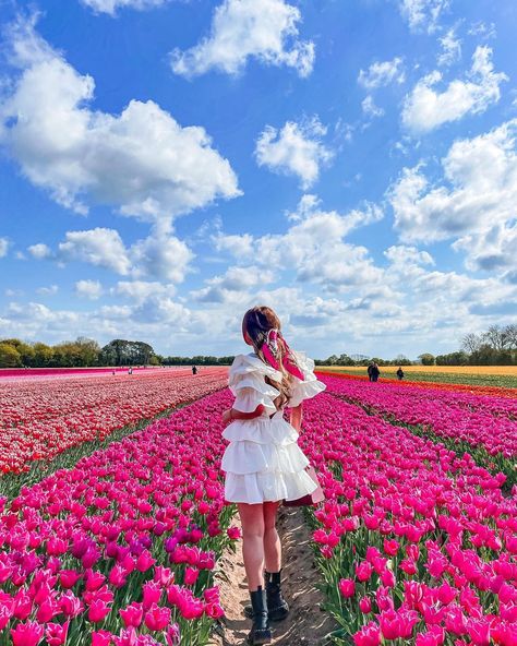 🌸 Raluca ✨London✨Travel 🌸 on Instagram: “Starting the day with this beautiful view! Fell so in love with the tulip fields and I really hope you guys will enjoy the content as much…” Tulip Festival Outfit Ideas, Tulip Photoshoot Photo Ideas, Tulip Garden Photoshoot, Tulip Field Photoshoot, Tulip Outfit, Spring In Amsterdam, Tulip Photoshoot, Spring Picture Ideas, Sunflower Maze