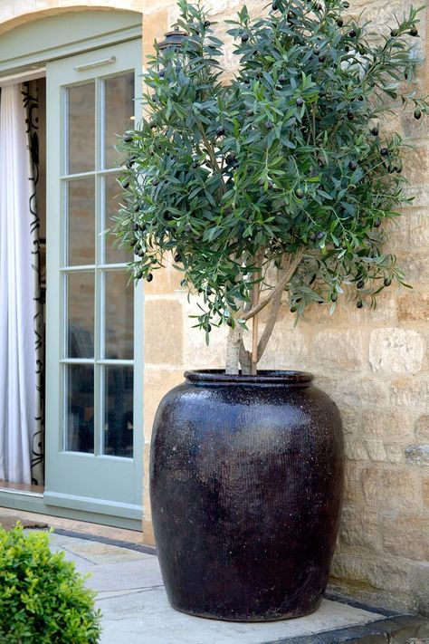 Search: 9 results found for "planters*" – Cotswold Grey Traditional Chinese Home, Large Garden Pots, Large Garden Planters, Front Door Planters, Big Planters, Large Outdoor Planters, Door Planter, Chinese Home, Large Plant Pots