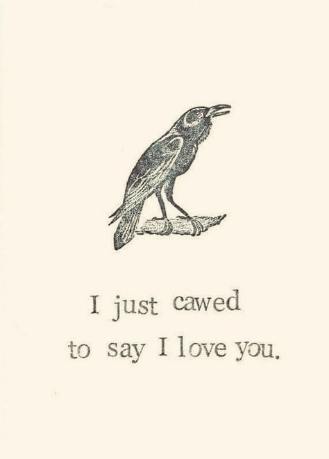 Raven Quotes, Dreamer Quotes, Crows Ravens, Classic Literature, Say I Love You, The Dreamers, I Love You, Literature, Love You