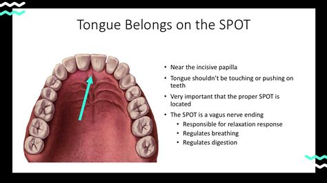 Where Should the Tip of My Tongue Go? | Carmen Woodland Myofunctional Therapy Tongue Posture, Orofacial Myofunctional Therapy, Hair Removal Products, Myofunctional Therapy, How To Relax Yourself, Relaxation Response, Oral Motor, Tongue Health, Fine Motor Skills Activities