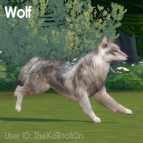 Animals - TheKalino - CC for your Sims Cc Eyes, Pet Wolf, Sims Pets, Sims 4 Cc Eyes, Sims 4 Challenges, The Sims 4 Skin, Httyd 3, Light Fury, Sims 4 Game Mods