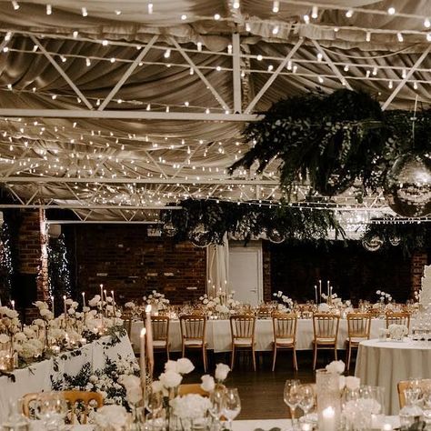 Northbrook Park Weddings on Instagram: "We are utterly obsessed with this setup for Imogen & George’s wedding🤍 📷 @romylawrencephotography 🌸 @whitelilacjk ✨ @farnhamsandl 🍰 @dottyrosecakes 📝 @surreyweddingcompany • • • #northbrookpark #northbrookparkwedding #wedding #weddingday #weddingreception #weddingflowers #weddingflorist #weddinglighting #weddingdecor #weddinginspo #weddinginspiration #weddingplanning #weddinggoals #weddingweekend #weddingphotographer #weddingseason #weddingstyle #w Northbrook Park Wedding, Northbrook Park, Wedding 2025, Park Wedding, Wedding Goals, Park Weddings, Autumn Wedding, Wedding Weekend, Wedding Lights