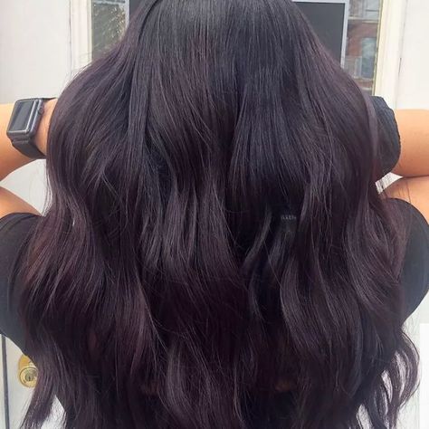 Dark Purple Hair Color Ideas, Purple Black Hair, Dark Purple Hair Color, Purple Hair Color Ideas, Purple Hair Color, Dark Purple Hair, Hair Color Ideas, Purple Hair, Dark Purple