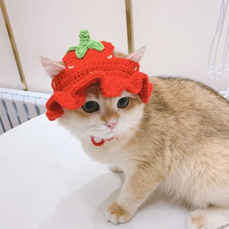 Chat Crochet, Party Fotos, Knitted Cat, Cat Flowers, Pet Style, Animal Hats, Dog Hat, Cat Hat, Flower Hats