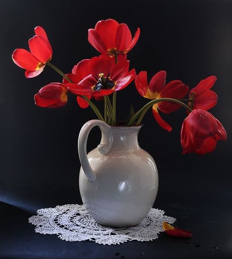 Tulip Still Life Photography, Still Life Images Photography, Flower Vase Photography, Still Life Flowers Photography, Flower Still Life Photography, Flower Still Life, Still Life Pictures, Still Life Images, Still Life Flowers