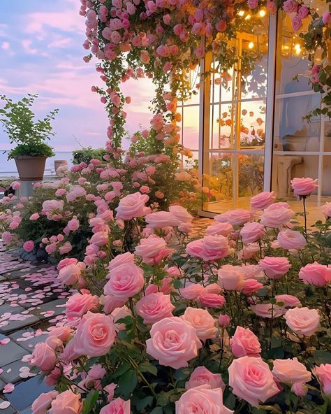 Pink Rose Garden Aesthetic, Pink Garden Aesthetic, Rose Garden Aesthetic, House Full Of Flowers, Roses Landscape, Flowers Installation, Pink Rose Garden, Rose Field, Glittery Wallpaper