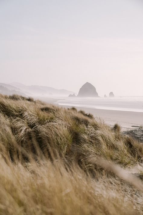 Canon Beach Oregon Photography, Seaside Oregon Aesthetic, Cannon Beach Oregon Photography, Cannon Beach Photography, Oregon Coast Aesthetic, Oregon Beach House, Pnw Coast, Canon Beach Oregon, Pnw Beach