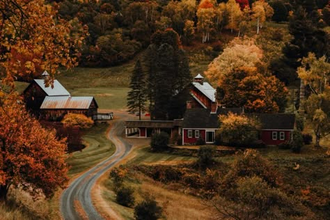 Vermont In The Fall, To Fall, Manchester Vermont, Vermont Fall, Leaf Peeping, Season Of The Witch, Apple Picking, Autumn Vibes, Best Seasons