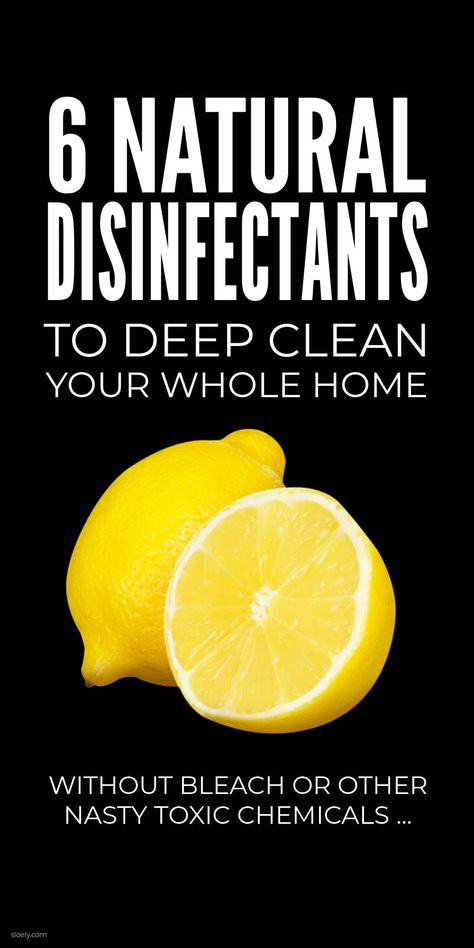 Natural DIY Disinfectant & Antibacterial Cleaners Vinegar Disinfectant Spray, Natural Disinfectant Cleaner, Vinegar Tea, Diy Disinfectant, All Natural Cleaning Products, Natural Bleach, Cleaning Diy, Natural Cleaning Recipes, Natural Disinfectant