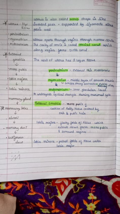 Human Reproduction Notes Class 12 Ncert, Class 9 Science Notes Biology, Notes Biology Aesthetic, Class 12th Biology Notes, Ncert Biology Class 12, Science Notes Biology, Cell Notes, Biology Flashcards, Class 9 Science Notes