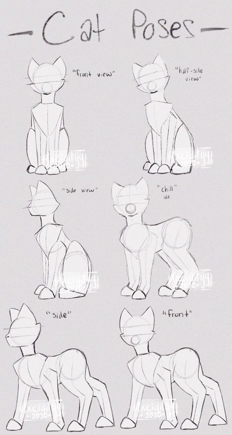 Animal Bases Drawing, Cute Body Base Drawing, Cat Outline Drawing, Cat Face Drawing, Cartoon Cat Drawing, Cat Poses, Cat Drawing Tutorial, Cats Art Drawing, Drawing Hands