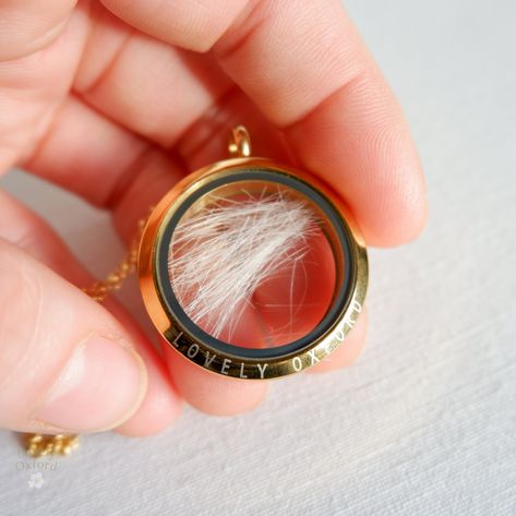 Pet fur memorial locket | Lock of hair personalised keepsake | Pet loss | Horse hair jewellery | Paw print pendant | Dog Cat hair necklace Paw Print Pendant, Horse Hair Jewelry, Lock Of Hair, Hair Necklace, Suntan Lotion, Hair Jewellery, Memory Locket, Glass Locket, Hair Locks