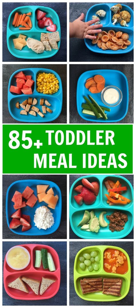 Build a variety of healthy toddler meal ideas for your toddler [and entire family] from a basic food list of their favorite foods! Daycare Meals, Toddler Meal Ideas, Basic Food, Easy Toddler Meals, Picky Toddler, Toddler Lunches, Healthy Toddler Meals, Toddler Snacks, Baby Eating