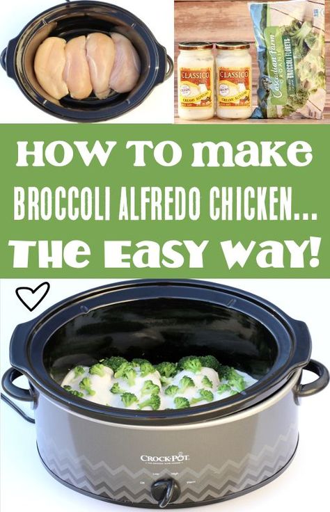 Crockpot Chicken Alfredo Recipes Alfredo Sauce Crockpot Recipes, Chicken Alfredo Over Broccoli, Crock Pot Chicken Fettuccine Alfredo Easy Recipes, Chicken Broccoli Tortellini Crockpot, Crockpot Chicken And Broccoli Recipes Healthy, Slow Cooker Alfredo Tortellini, What To Do With A Jar Of Alfredo Sauce, Chicken Broccoli Alfredo Pasta Crockpot, Crockpot Chicken Recipes With Broccoli