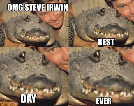 Steve Irwin Aussie Memes, Funny Aussie, Australian Memes, Meanwhile In Australia, Funny Australian, Irwin Family, Australia Funny, Crocodile Hunter, Steve Irwin