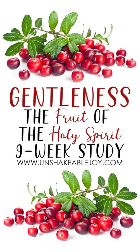 Bible Study Fruits Of The Spirit, Fruit Of The Spirit Gentleness, Proverbs Woman, Womens Bible, Fruits Basket Manga, Children Ministry, Woord Van God, Study Topics, Lds Lessons