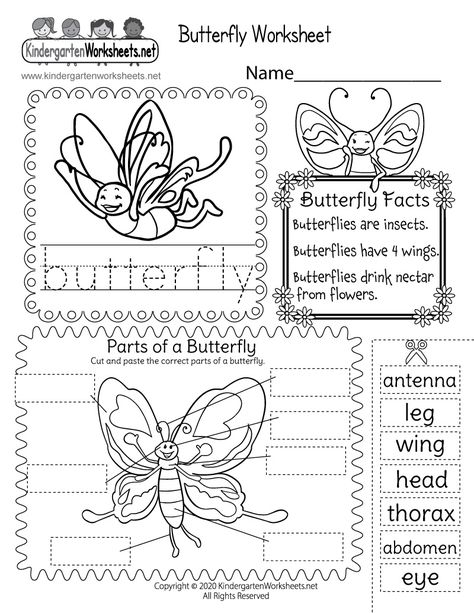 Children can learn how to spell butterfly by tracing the word, read basic facts about butterflies, and then match words with parts of a butterfly in a fun cut and paste activity. Butterfly Life Cycle Kindergarten, Butterfly Science Activities, Butterfly Body Parts, Parts Of A Butterfly, Birds Activities, Butterfly Worksheet, Spring Colouring, Insects Kindergarten, Butterfly Lessons