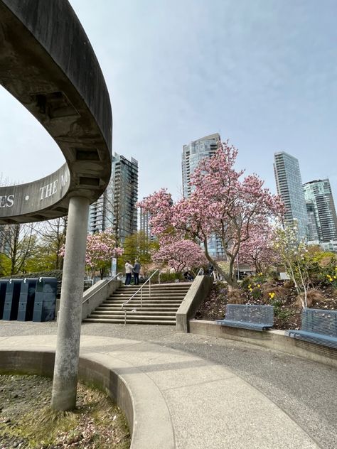 Cherry blossoms, spring season. Warm weather, sunny days, walks in the park. Vancouver - seawall. #spring #vancouver #cherryblossoms #sunshine #downtown #walking Spring Vancouver, Vancouver Seawall, Vancouver Spring, Spring Cherry Blossoms, Sea Wall, Spring Season, Cherry Blossoms, The Park, Sunny Days