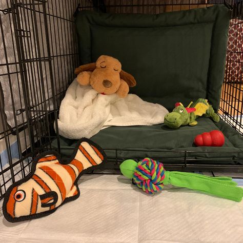 Cases Opening, Lab Puppy Training, New Puppy Checklist, Dog Cots, Crate Training Puppy, Puppy Time, Puppy Crate, Puppy Snuggles, Crate Bed