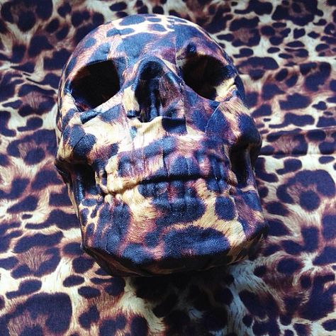 leopard skull. Deathly Hollows, Leopard Skull, Diy Skulls, Cross Bones, Skull Lover, Out Of Africa, Skull And Bones, Hallows Eve, Skull Art