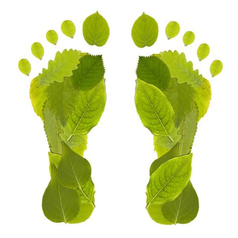 Carbon Footprint Calculator - http://www.proudlycarbonneutral.com/our-services/carbon-calculator Carbon Footprint Calculator, Reduce Your Carbon Footprint, Latex Mattress, Eco Living, Eco Design, Carbon Footprint, Earth Friendly, Green Design, Green Living