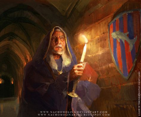 TULLY SEPTON Faith Of The Seven, Tully House, House Tully, Fortune Tellers, Fantasy Flight Games, Hand Of The King, Asoiaf Art, Game Of, Game Of Thrones Art