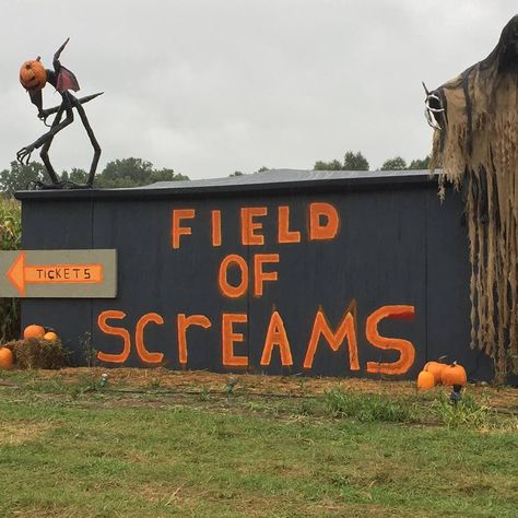 Haunted Field Ideas, Corn Maze Decorations, Haunted Corn Field, Haunted Corn Maze Ideas, Field Of Screams, Haunted Farm, Haunted Hallway, October Goals, Haunted Corn Maze