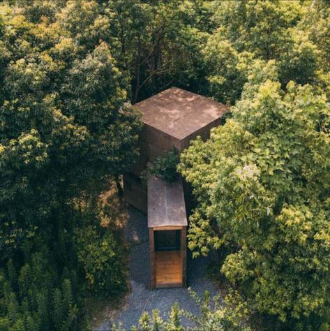 Forest Cabins, College Architecture, Exhibition Building, Resort Architecture, Forest Cabin, Nature Museum, Museum Architecture, Forest House, Architecture Exterior