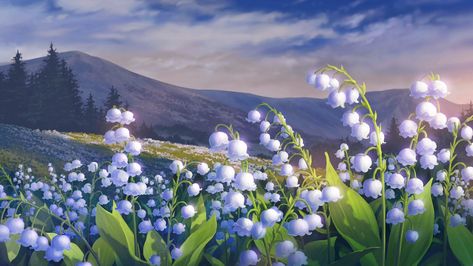 Lily Of The Valley Landscape, Bambi Desktop Wallpaper, Laptop Wallpaper Flowers Desktop Wallpapers, Flower Pc Wallpaper, Flower Laptop Wallpaper, Blue Background Laptop, Lily Of The Valley Wallpaper, Valley Wallpaper, White Flower Wallpaper