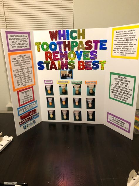 Nail Polish Science Fair Project, Fourth Grade Science Projects, First Grade Science Projects, School Science Fair Projects, Physical Science Projects, 6th Grade Science Projects, 4th Grade Science Projects, Winning Science Fair Projects, Middle School Science Fair Projects