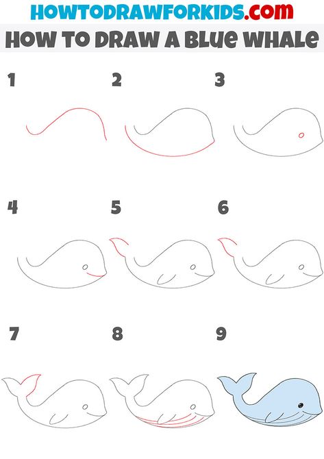 how to draw a blue whale step by step Blue Whale Drawing Simple, How To Draw Whale, Whale Drawing Step By Step, Human Legs Drawing, How To Draw A Whale, Easy Whale Drawing, Drawing A Whale, Whale Drawing Simple, Insect Doodles