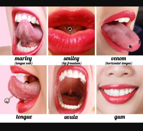 Inner Mouth Piercings, Mouth Piercings, Ear Peircings, Piercing Chart, Face Piercings, Cool Piercings, Facial Piercings, Dermal Piercing, Cute Piercings