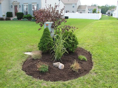 Utility Box Planting by Niagara Horticulture, via Flickr Utility Covers, Well Covers, Front Porch Plants, Front Lawn Landscaping, Well Cover, Lawn Landscape, Porch Plants, Privacy Landscaping, Front Yard Garden Design