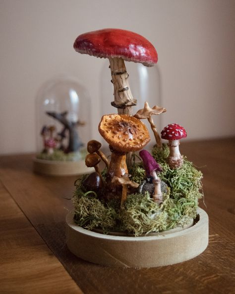 Enchanted Mushroom Forest, Tiny Astronaut, Glass Diorama, Enchanted Mushroom, Giant Mushroom, Tiny Mushroom, Mushroom Crafts, Mushroom Forest, The Bell Jar