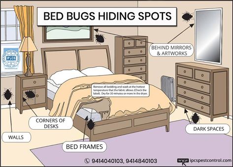 Hiding Spots In Bedroom, Homemade Flea Spray, Signs Of Bed Bugs, Cleaning Routines, Rid Of Bed Bugs, Flea Spray, Diy Pest Control, Best Pest Control, Bug Control