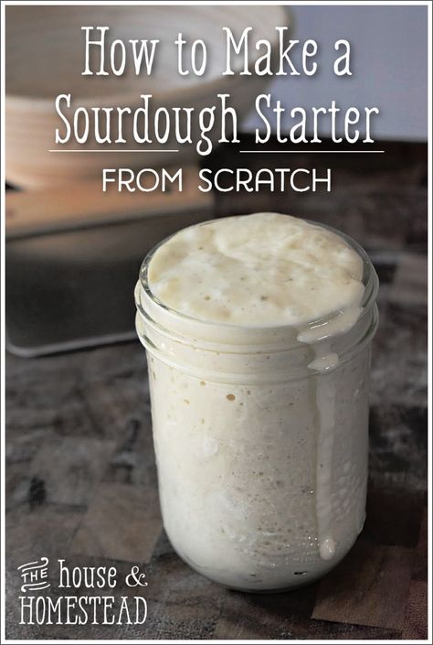 How to Make A Sourdough Starter From Scratch - The House & Homestead Dough Starter Recipe, Make A Sourdough Starter, Resepi Roti, Yeast Starter, Dough Starter, Sourdough Bread Starter, Easy Sourdough, Homemade Sourdough Bread, Bread Starter