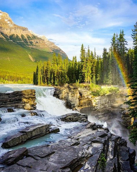 Athabasca Falls, Jasper National Park, Alberta, Canada Canada Photography, Jasper National Park, Alberta Canada, At The Top, National Park, The Top, National Parks, Natural Landmarks, Water