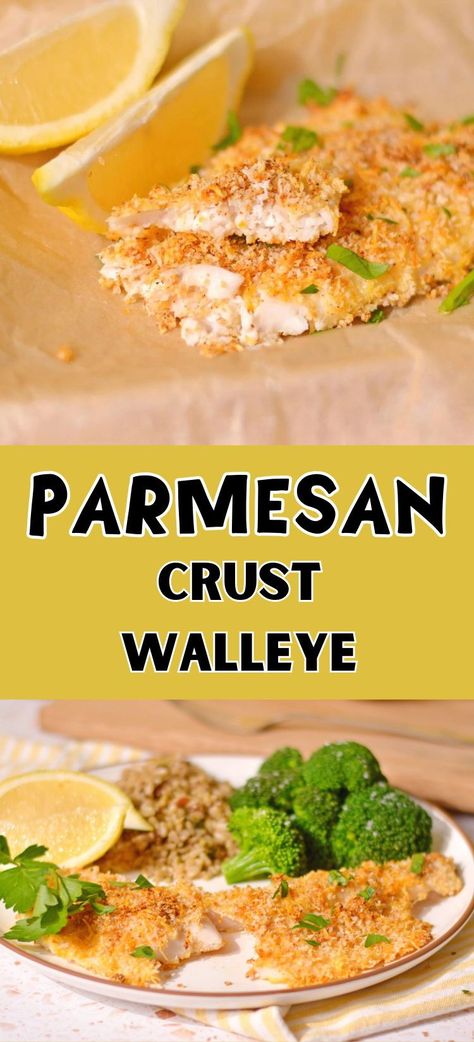 Frozen Walleye Recipes, How To Cook Walleye Fillets, Baked Walleye Recipes Parmesan Crusted, Oven Baked Walleye Recipes, Blackened Walleye Recipes, How To Cook Walleye Fish, Baked Walleye Recipes Ovens, Oven Baked Walleye, Parmesan Crusted Walleye