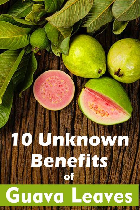 10 Unknown Benefits of Guava Leaves- One of the Richest treasured healthy medicine for 2020 century Skin Care Hair Care Health Care Guava Leaves Benefits, Guava Health Benefits, Guava Leaves For Hair, Benefits Of Guava, Guava Leaf Tea, Guava Benefits, Guava Leaves, Ayurvedic Remedies, Vitamins For Hair Growth