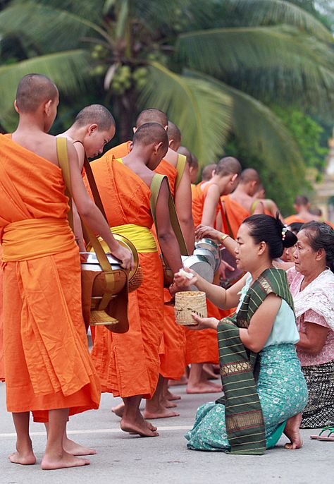 Lao Culture, Laos Culture, Laos Vietnam, Kitchen Fashion, Exo Anime, Laos Travel, Camping Places, Luang Prabang, Buddhist Monk