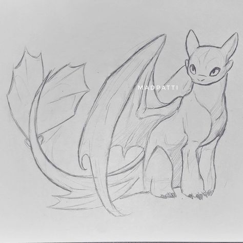 Sketch drawing of the Light Fury the White Night Fury dragon Toothless Drawing, Night Fury Dragon, Httyd Art, Light Fury, Cute Disney Drawings, Dragon Sketch, Creature Drawings, Night Fury, Train Your Dragon