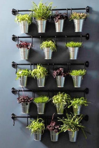 The FINTORP series was actually designed to help you organize the kitchen, but it makes a creative and beautiful way to show off your foliage. Perfect for that blank wall in your living room, as an alternative to hanging artwork. Vertical Wall Planter Pots, Hanging Herb Garden, Herb Wall, Vertical Wall Planters, Hanging Herbs, Diy Herb Garden, Herb Garden Design, Herb Gardens, Vertical Herb Garden