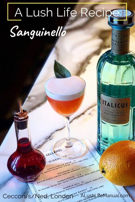 A delicious cocktail recipe with Italicus for Valentine's Day - A romantic match of Citrus combined with a perfumy herbal finish blended with Bergamot!     Valentine's Day | Recipe | Cocktail | Italicus #italicus #cocktails #recipe #ValentinesDay #cocktail Italicus Cocktail Recipe, Bergamot Cocktail, Italicus Cocktail, Cordial Cocktails, Girls Night In Food, Italian Liqueur, Liquor Recipes, Cocktail Ideas, Herbal Drinks