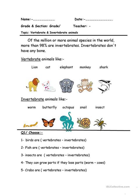 Vertebrate & Invertebrate - English ESL Worksheets for distance learning and physical classrooms Vertebrates And Invertebrates Worksheets, Classification Of Vertebrates, Animal Classification Worksheet, Special Education Worksheets, Free Reading Comprehension Worksheets, Vertebrates And Invertebrates, Wristband Template, Animal Body Parts, Animal Classification