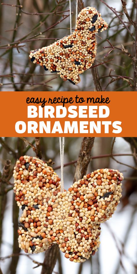 Diy Birdseed Ornaments, Bird Seed Ornaments Recipe, Birdseed Ornaments, Bird Seed Ornaments, Bird Feeder Craft, Homemade Bird Feeders, Bird Treats, Christmas Gift Basket Ideas, Food Ornaments