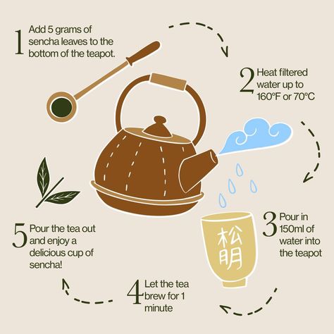 Here’s how to brew sencha tea in 5 simple steps☝️ If you want to try some sencha tea, now is your chance! We are offering up to 64% off at nioteas.com for a limited time. #nioteas #japanesegreentea #japanesetea #sencha #senchatea Sencha Tea, Tea Aesthetic, Japanese Tea, Green Tea, Limited Time, Tea, Drinks, Green, Quick Saves